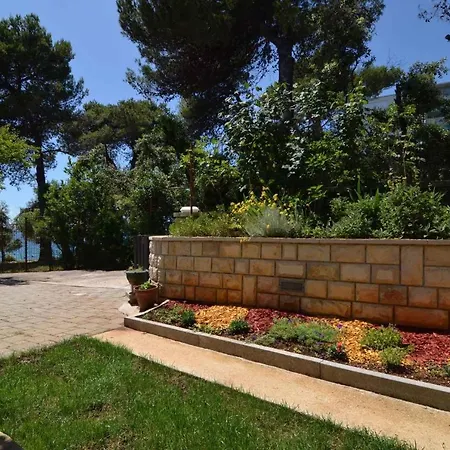 In Petrcane/zadar Riviera 7907 Apartment Petrcane
